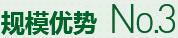 購(gòu)買(mǎi)蔬菜種子，鼎牌優(yōu)勢(shì)三