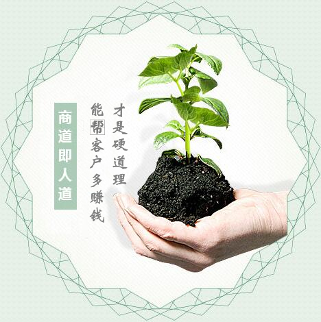 蔬菜種子經(jīng)營(yíng)，商道即人道
