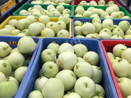 蔬菜種子種植戶客戶點評-5元1斤，這個新品種真香甜！