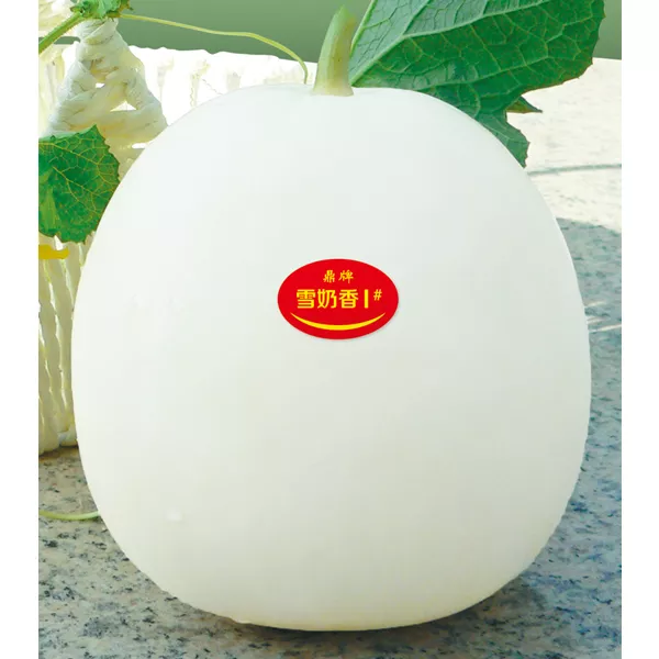 薄皮甜瓜，哪個品種最好呢？畝產(chǎn)高達10萬，附4種市場爆款品種