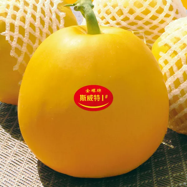 薄皮甜瓜，哪個品種最好呢？畝產(chǎn)高達10萬，附4種市場爆款品種