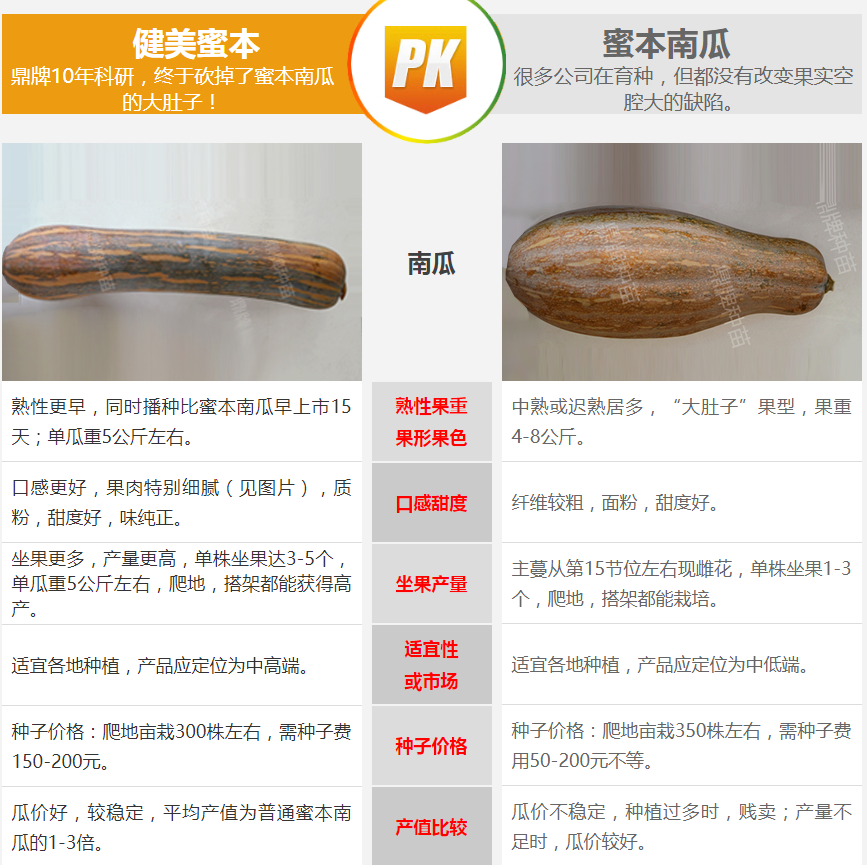 生吃都好吃南瓜新品種，沒(méi)有大肚子，肉質(zhì)更密致，農(nóng)戶試種下