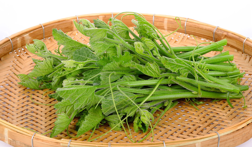 種這種綠葉菜，栽培輕松，畝產(chǎn)值過萬元，菜農(nóng)表示很劃算
