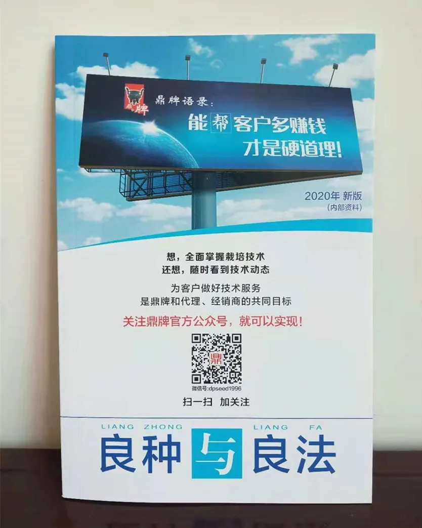 河南焦作的李向林今年種植甜瓜新品種，客戶直接拉貨走人