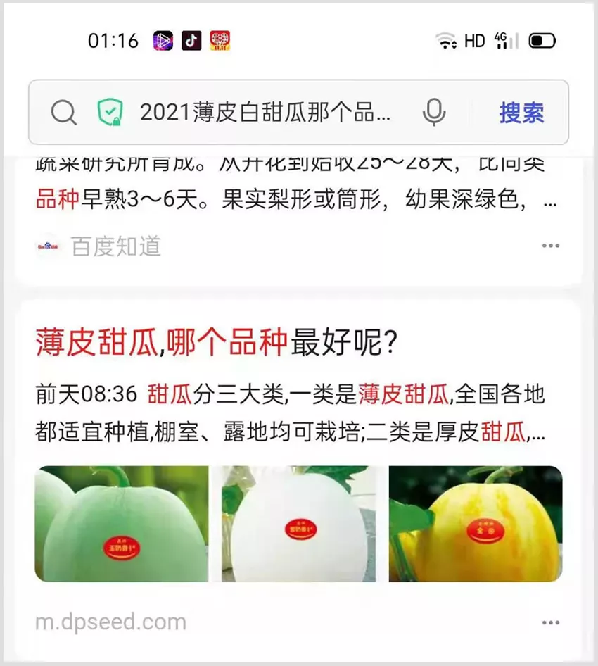 河南焦作的李向林今年種植甜瓜新品種，客戶直接拉貨走人