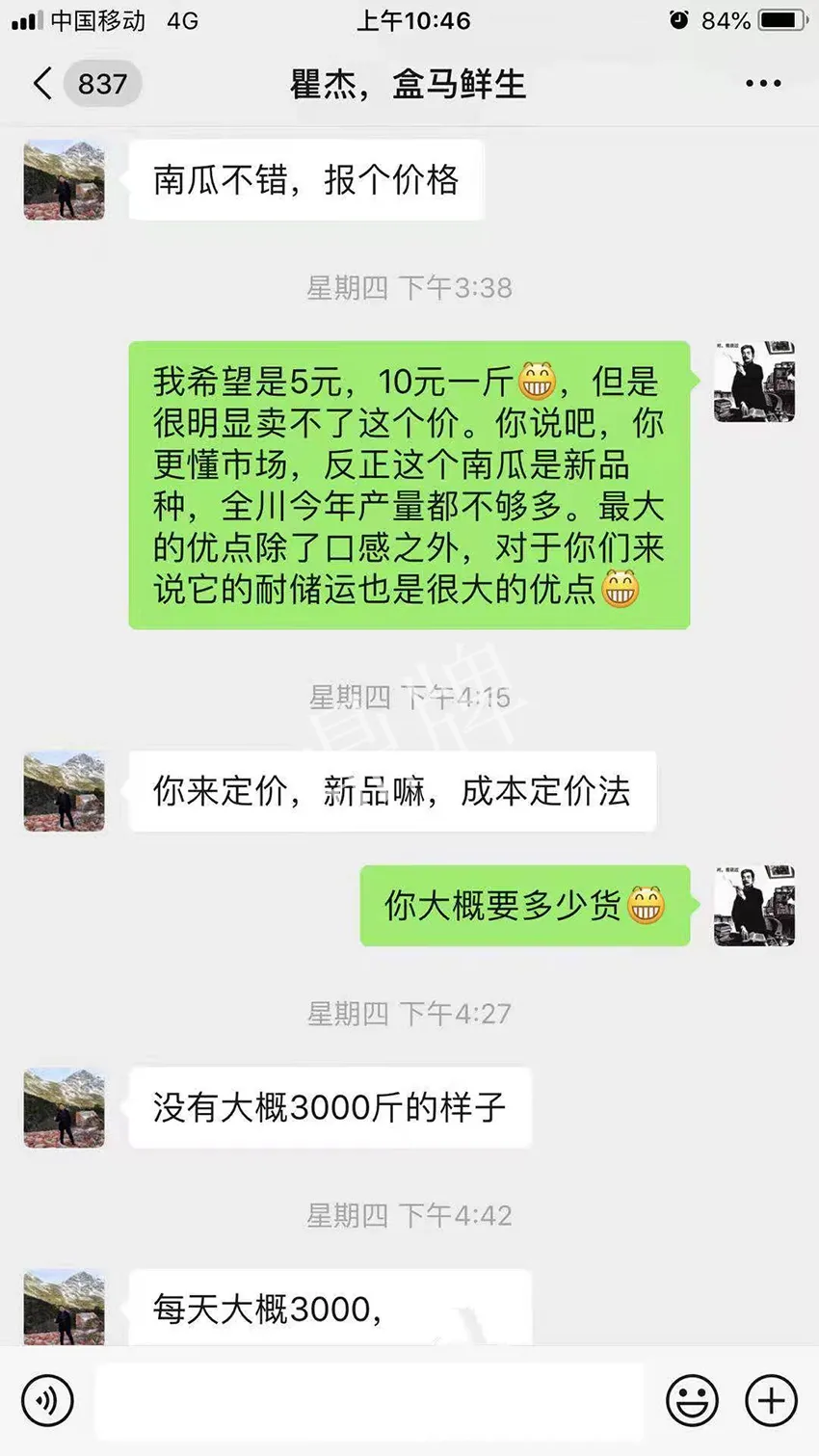 四川農(nóng)戶今年種“健美蜜本”南瓜產(chǎn)量高，品質(zhì)好，感覺(jué)巴適得很
