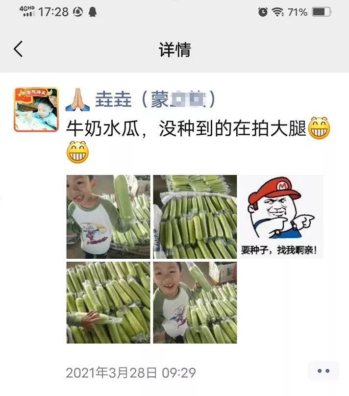 這個(gè)絲瓜每畝能掙3萬(wàn)，沒(méi)種植的農(nóng)戶后悔得拍大腿