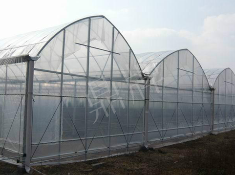 蔬菜種子種植戶客戶點評-鼎牌瓠瓜上市早，地頭批發(fā)價達到8元/斤，種植基地王老板告訴您！